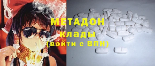 шишки Аркадак
