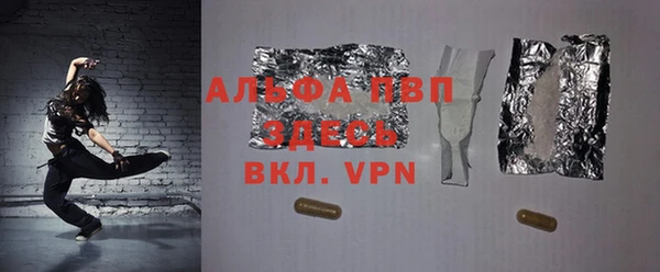 шишки Аркадак