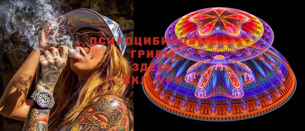 шишки Аркадак