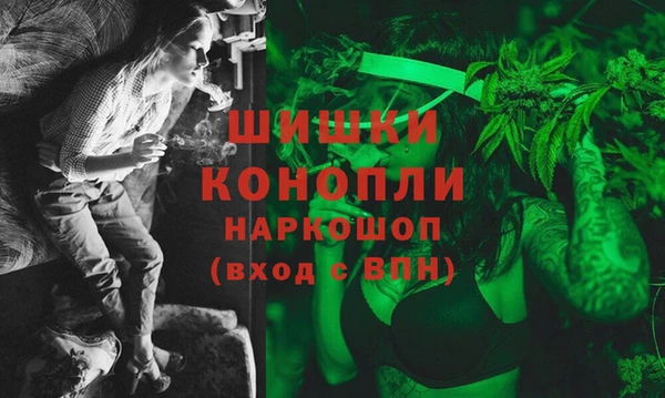 стаф Арсеньев