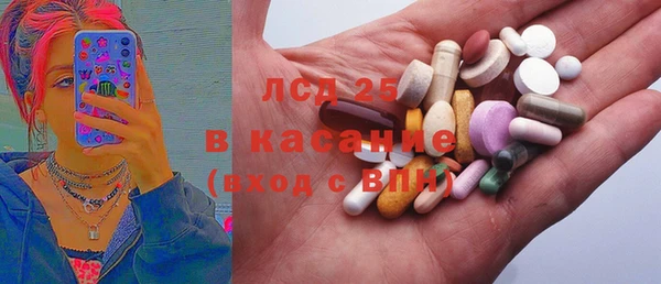 стаф Арсеньев