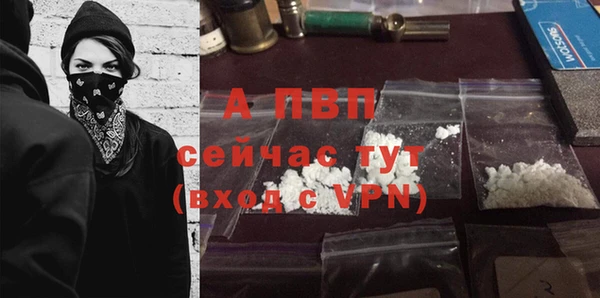 стаф Арсеньев