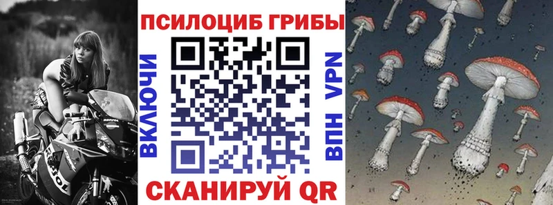 наркошоп это наркотические препараты Псилоцибиновые грибы мухоморы Гвардейск